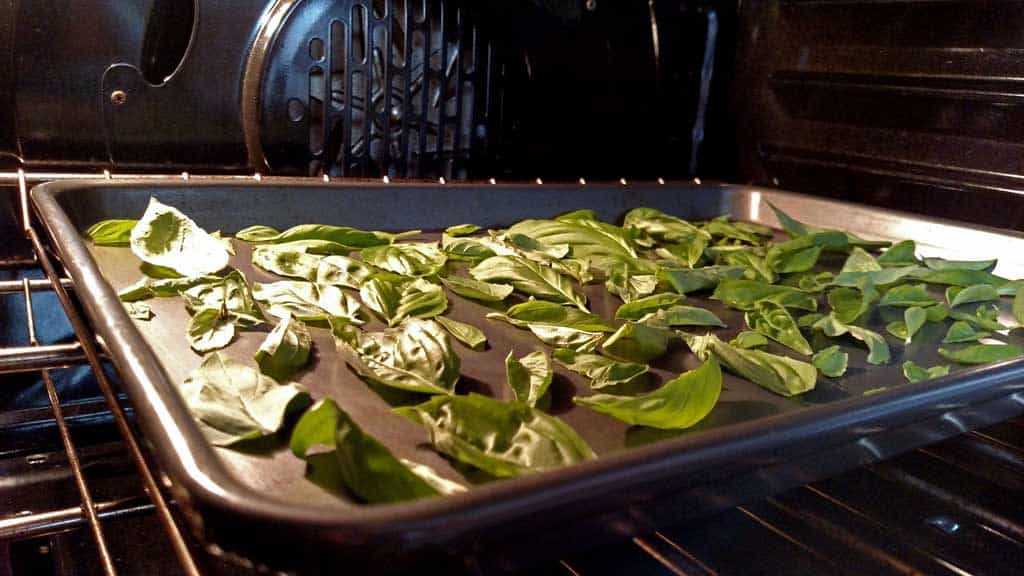 basil on baking sheet in oven