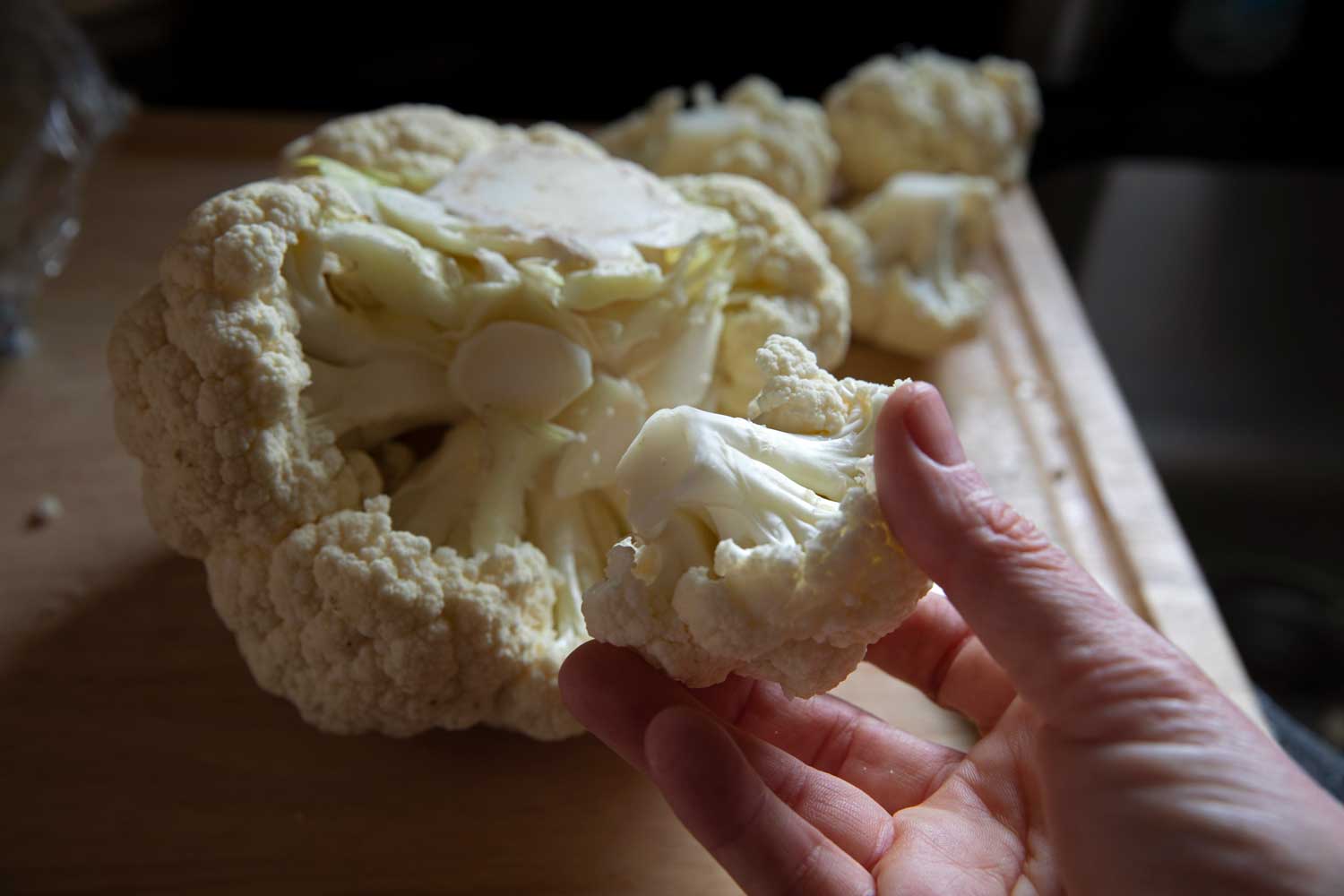 cauliflower floret in hand