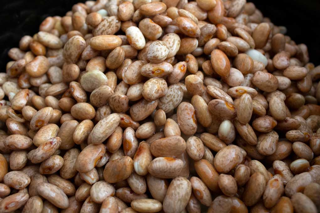 dried pinto beans