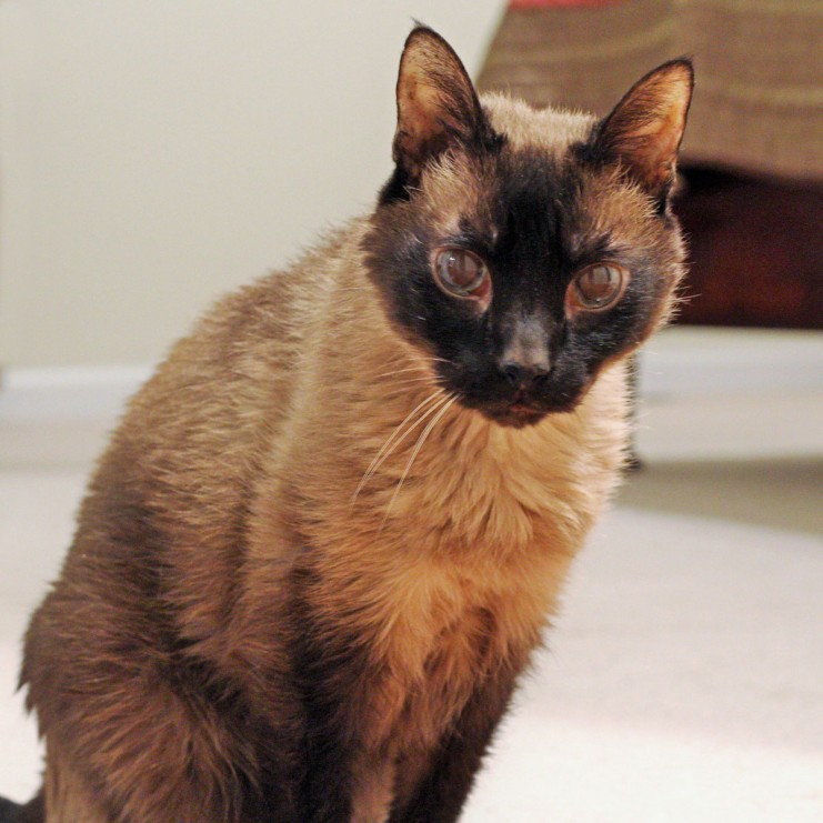 His Royal Highness at 17 years old