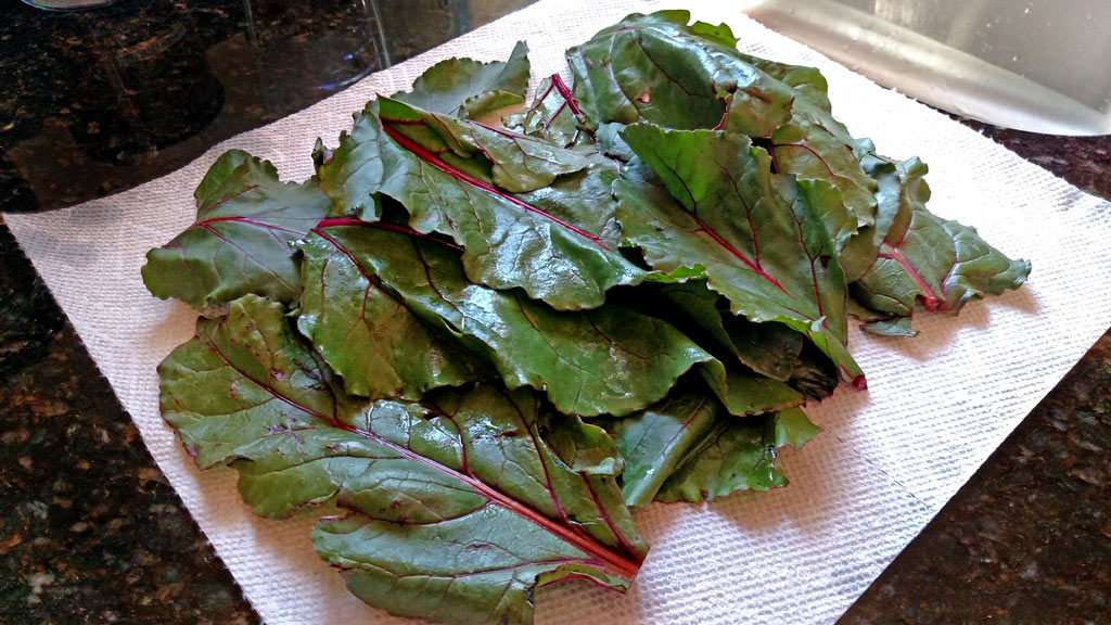 beet greens drying on paper towel
