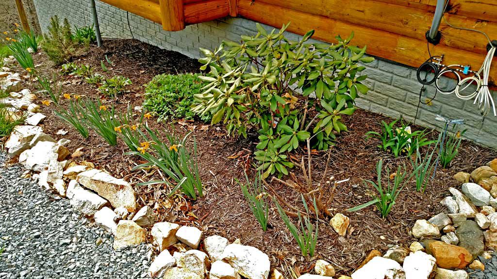 the flowerbed beside the house