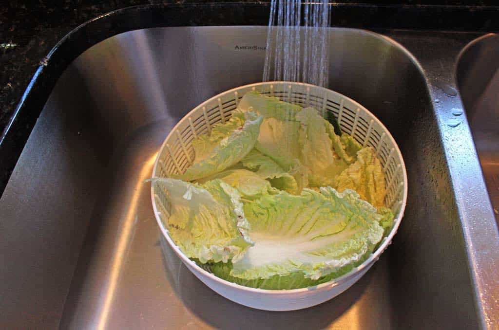 rinsing cabbage in sink