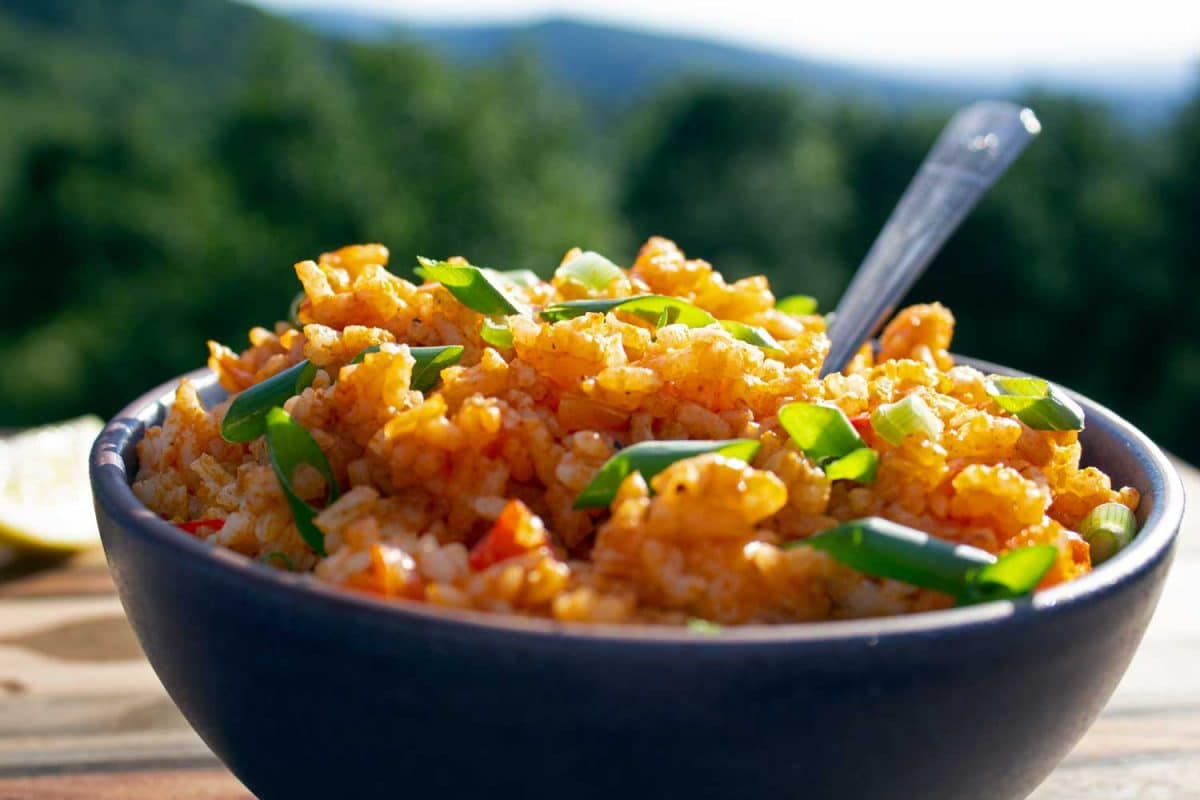 bowl of rice up close