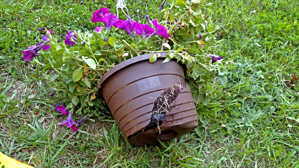 broken-pot