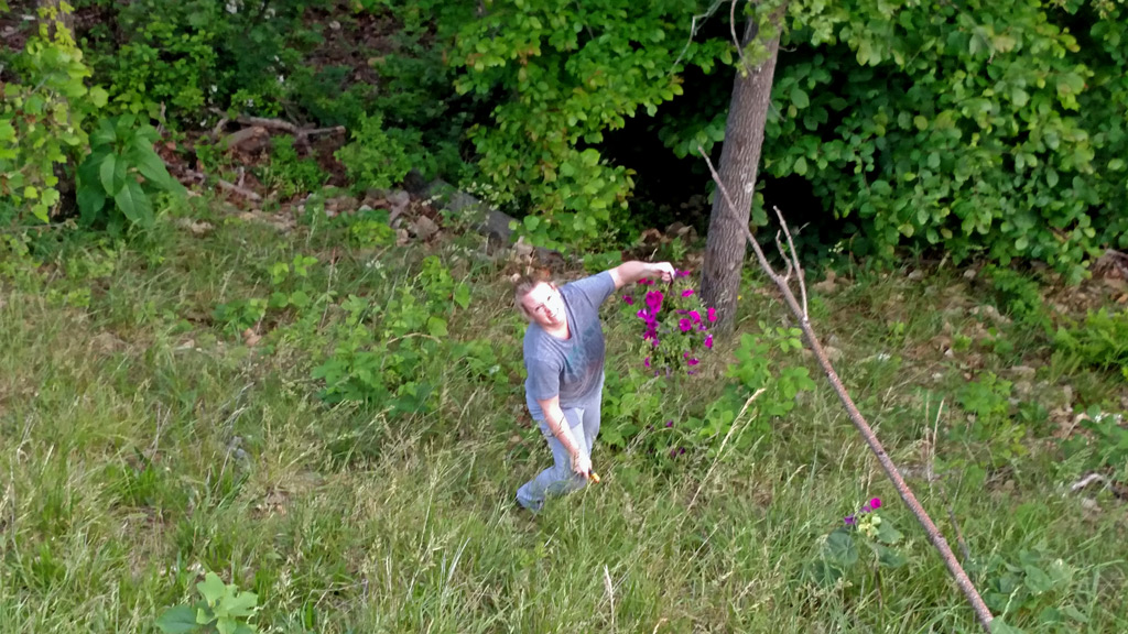 picking-up-plant-1