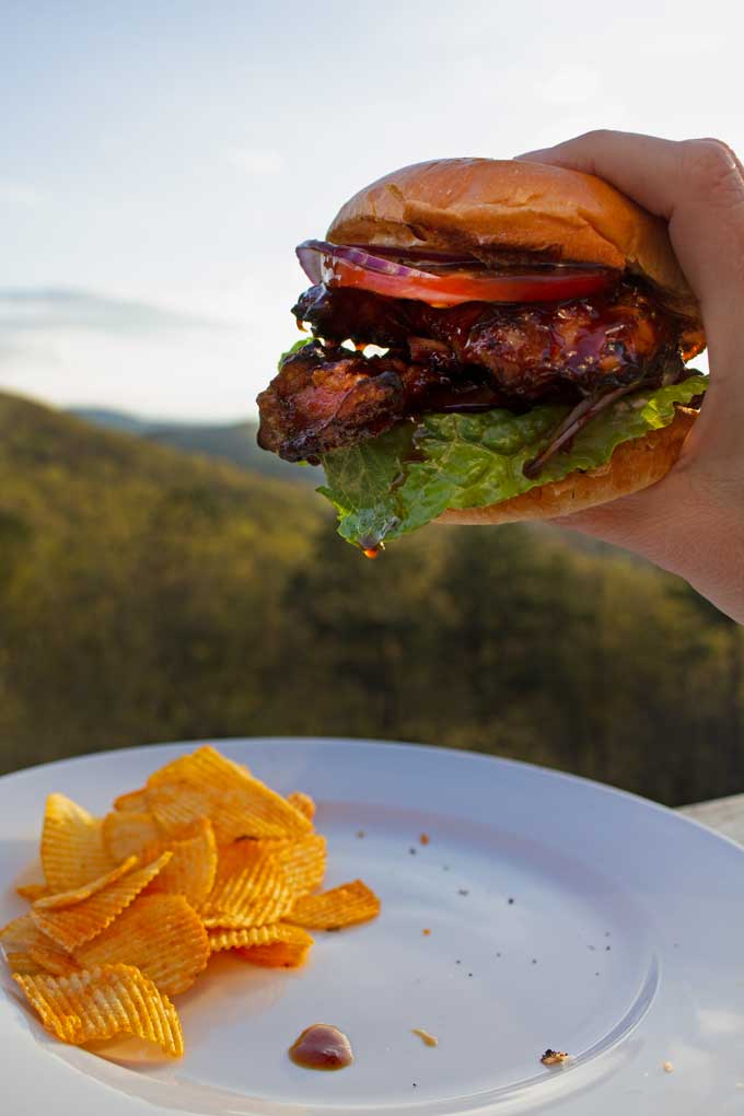 hand lifting up sandwich