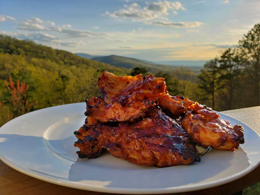 grilled teriyaki chicken on plate with mountain view