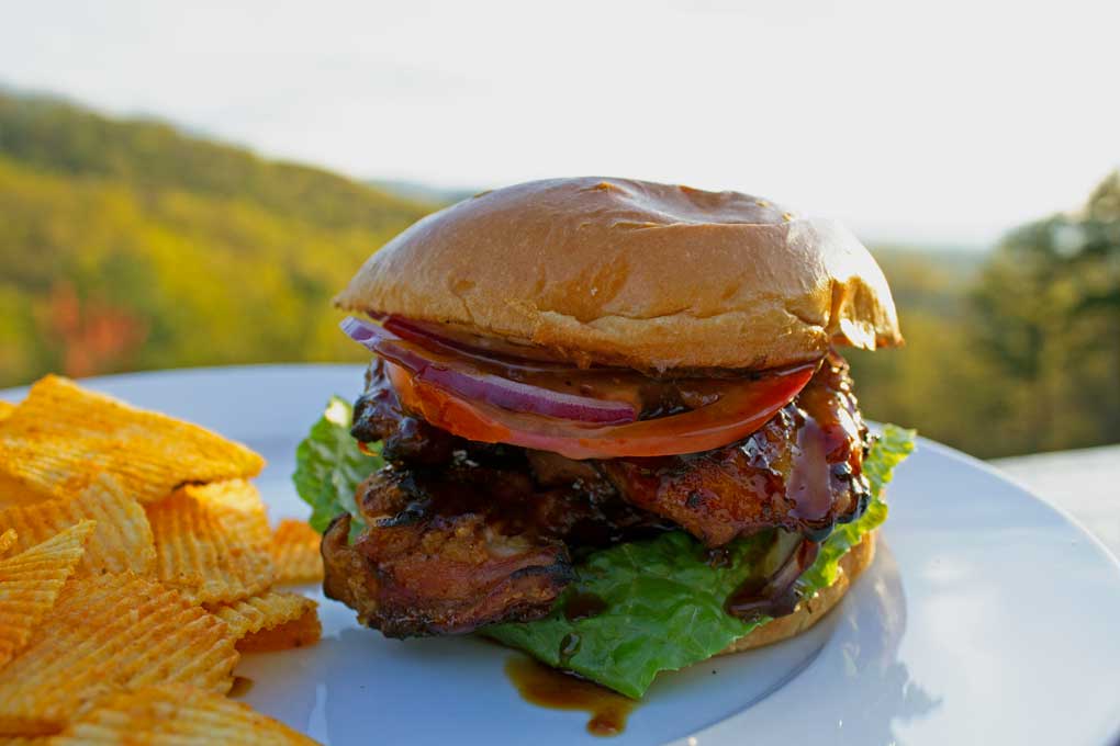 grilled teriyaki chicken sandwich with chips on a plate with mountain view