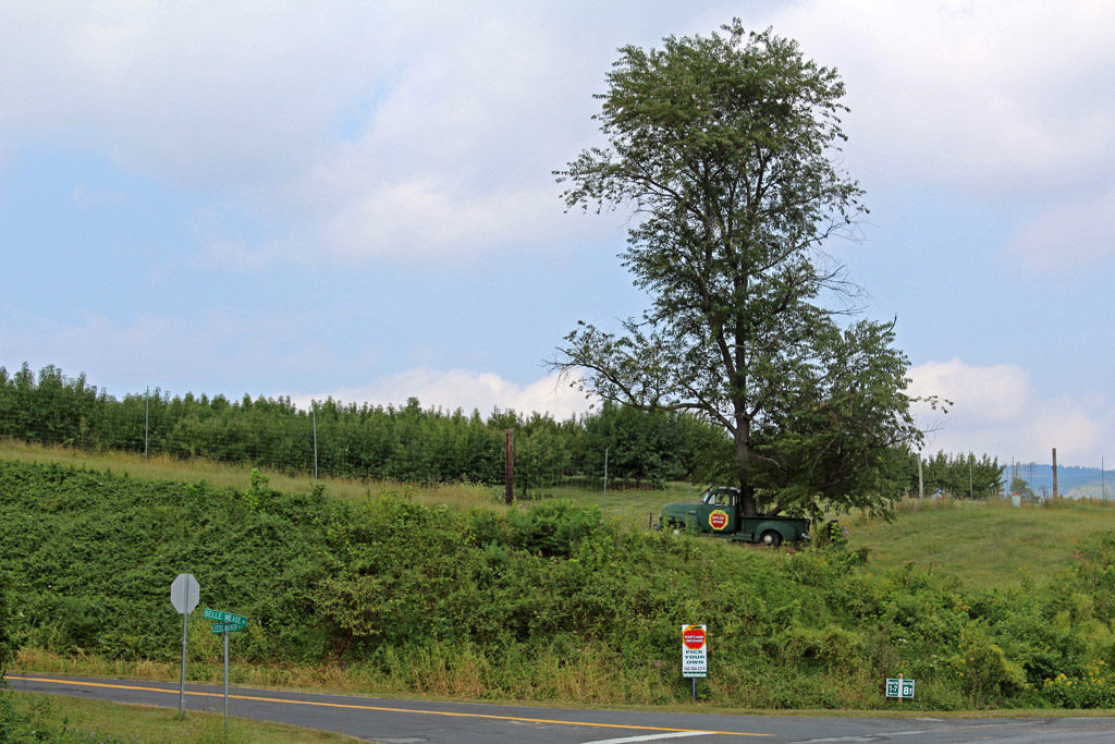 A trip to Hartland Orchard in Markham, Virginia to show you where we get our fresh mountain apples for cooking. | TheMountainKitchen.com