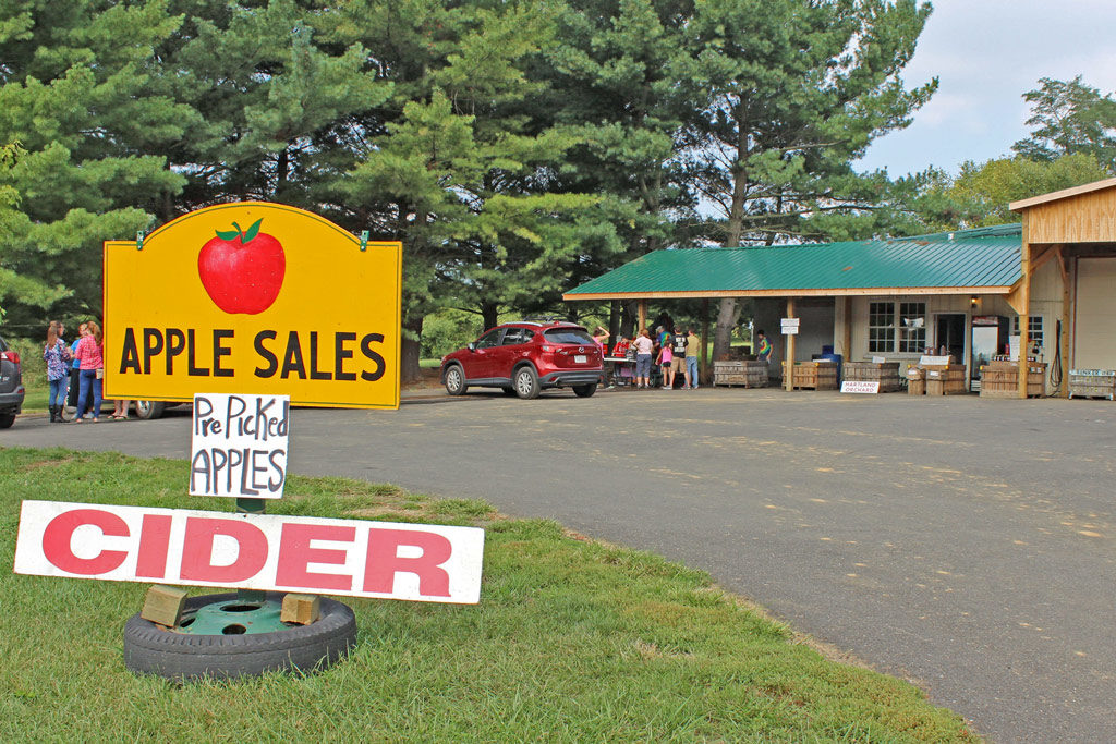 A trip to Hartland Orchard in Markham, Virginia to show you where we get our fresh mountain apples for cooking. | TheMountainKitchen.com