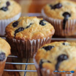 Hearty blueberry oatmeal muffins with chewy whole grain oats, juicy blueberries and warm cinnamon and refreshing orange flavor. | TheMountainKitchen.com