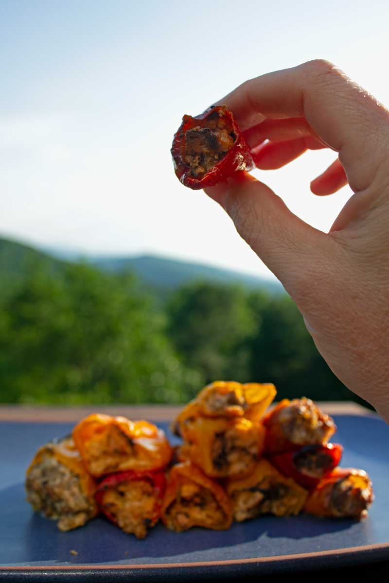 hand holding stuffed mini pepper