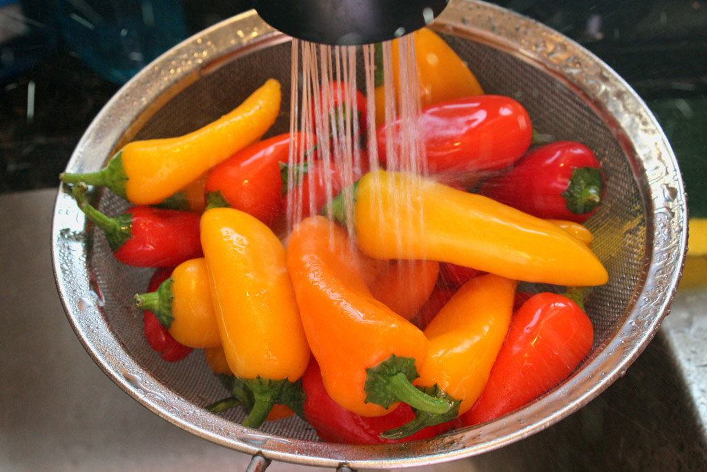 rinsing peppers under faucet