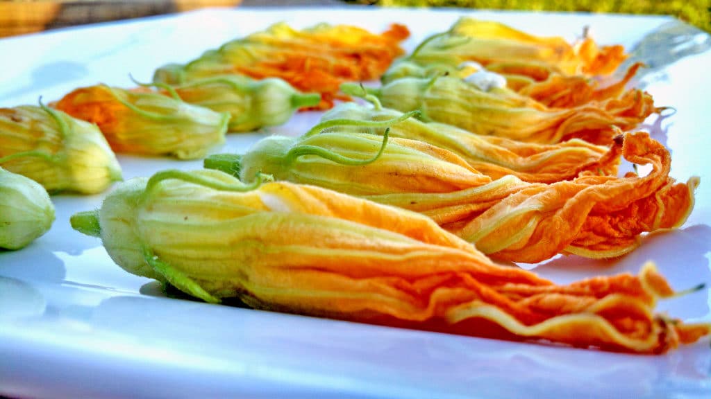 squash blossoms on a plate