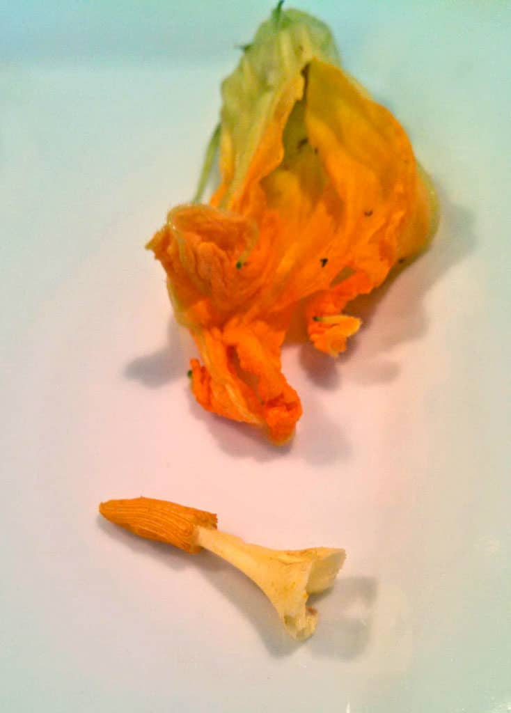 the pistil removed from the blossom