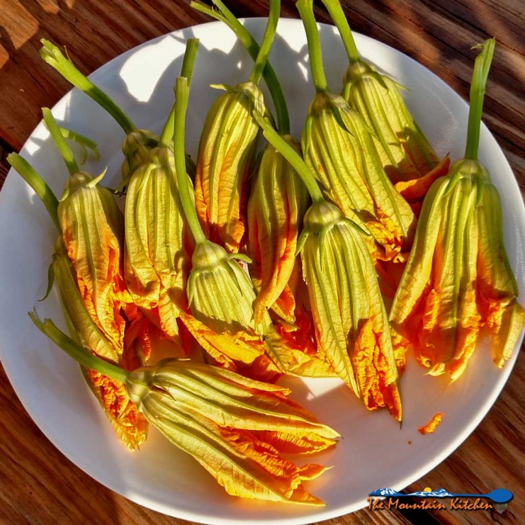 These delicate fried squash blossoms are filled with a creamy ricotta cheese mixture and dipped in a light batter, fried to a golden brown. They're amazing!