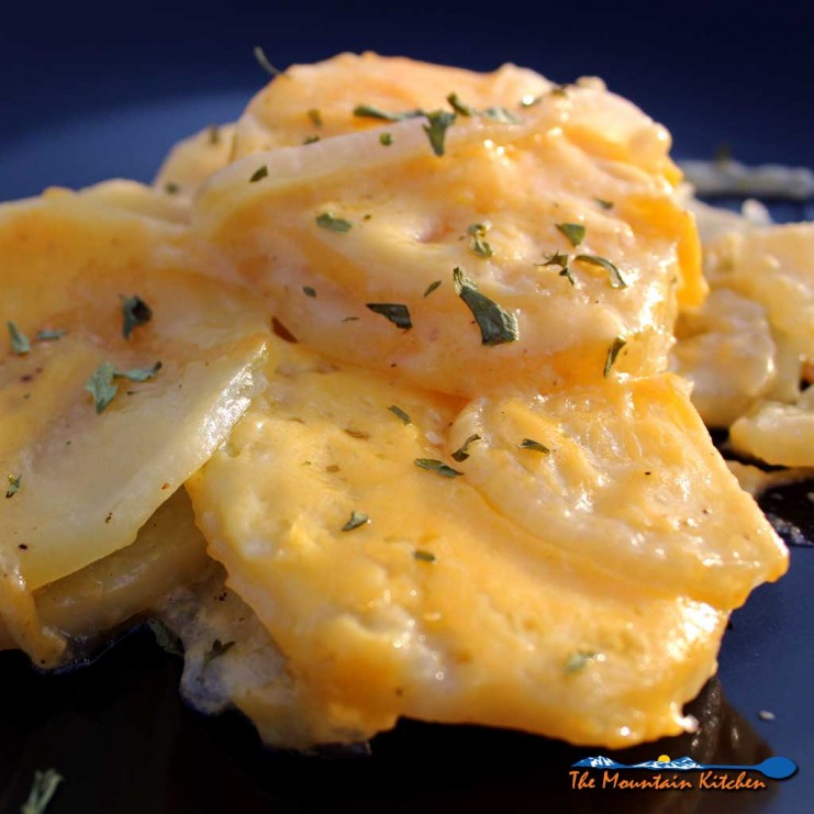 Potatoes Au Gratin