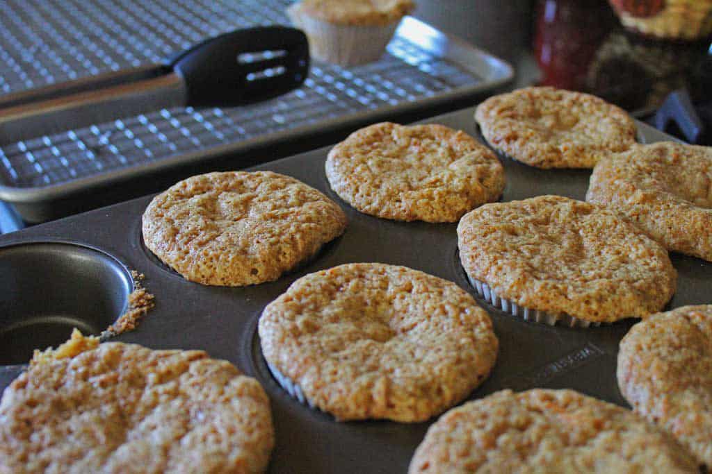 carrot cake muffins cooling in muffin tin