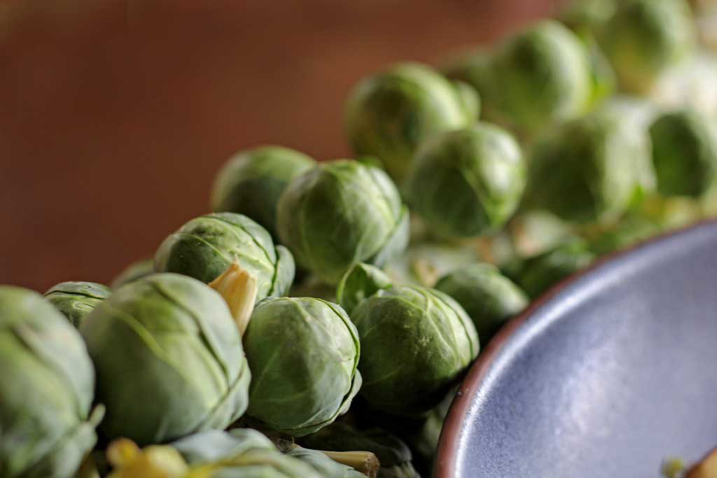 This apple pecan brussels sprout salad is for crunch lovers! Made with shredded brussels sprouts, apples, pecans, parmesan cheese and homemade dressing. | TheMountainKitchen.com