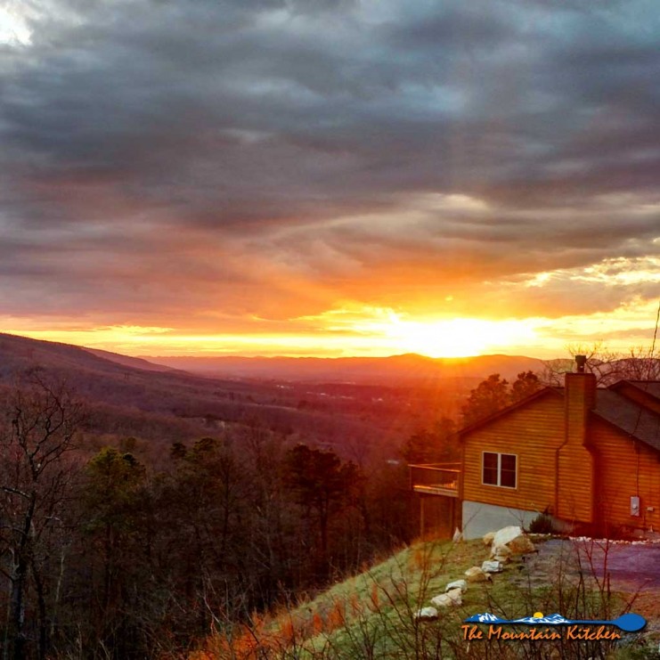 This year has been kind of strange. The weather started out really cold and by the time it warmed up all we seemed to do was wait for our new deck to be built and before we knew it Christmas was here! Let's take a look back at 2017. | TheMountainKitchen.com