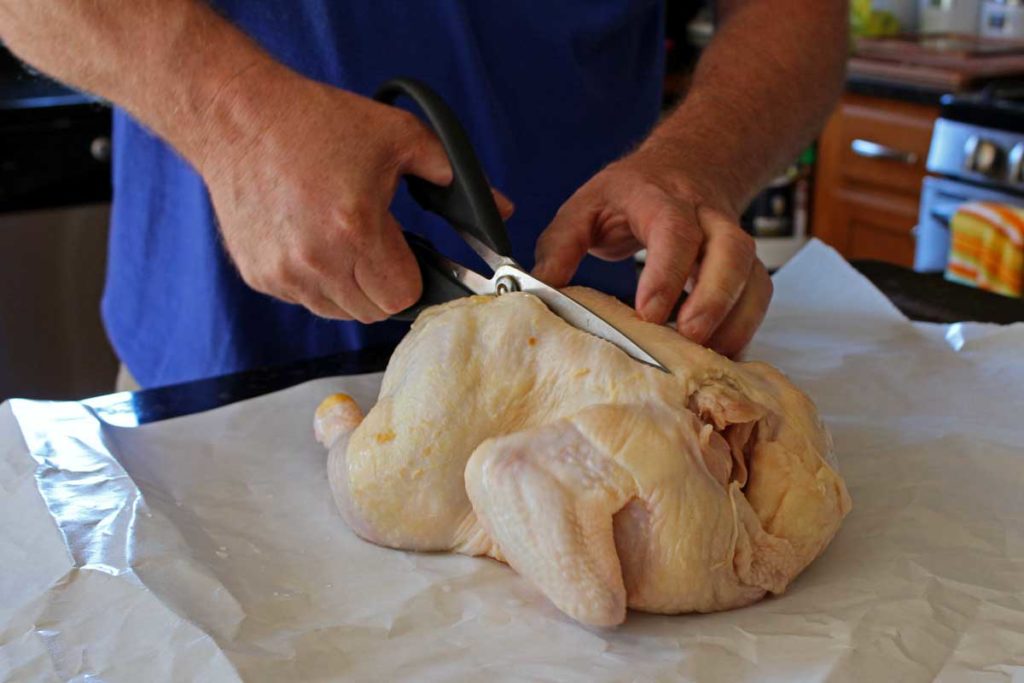 cutting out the chicken backbone