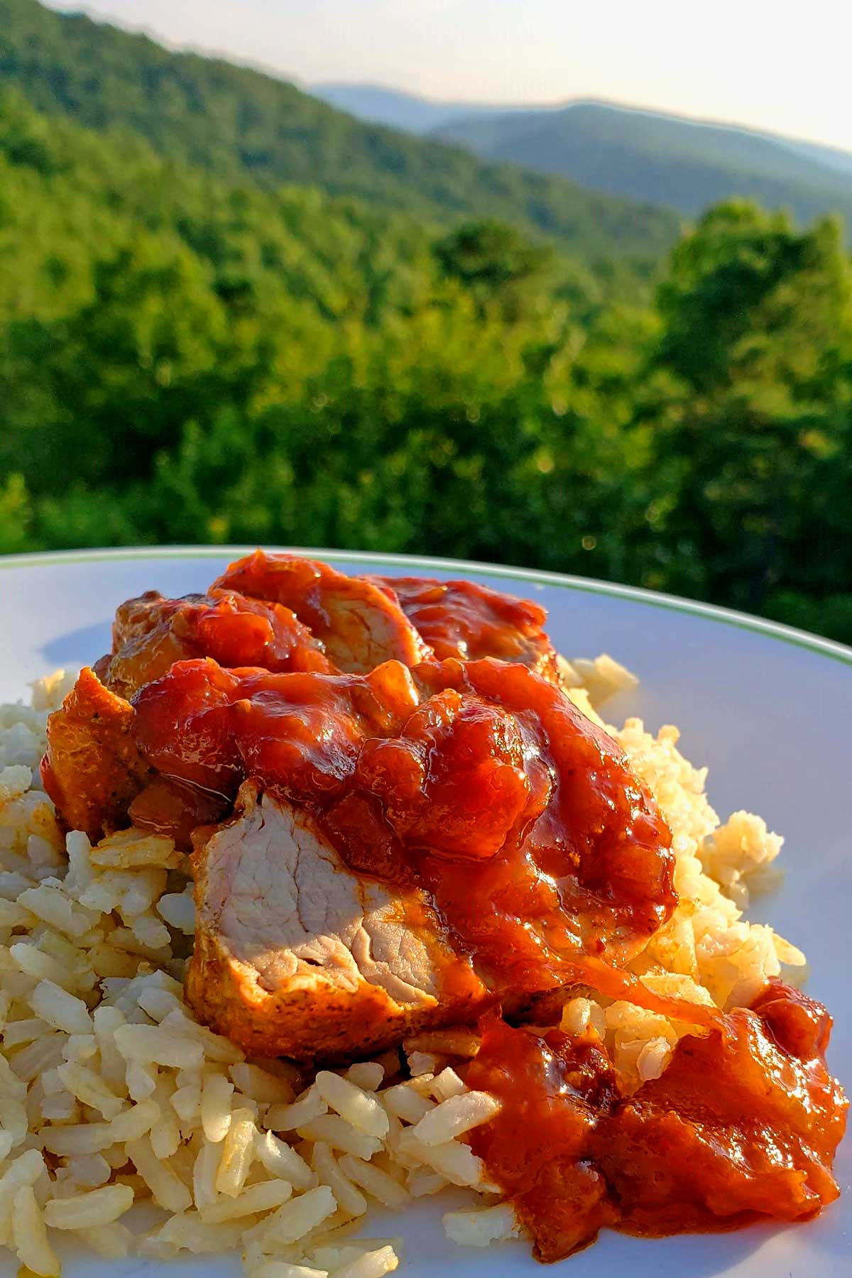 The classic combination of a good barbecue sauce flavors, this chipotle peach barbecue sauce has them all: sweet, tangy and spicy. Try it on everything!