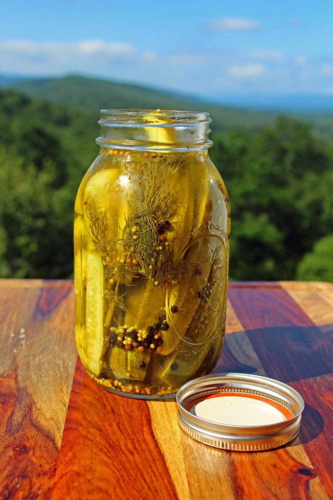 jar of easy refrigerator dill pickles with mountain view