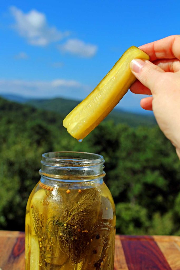 removing pickle spear from jar with mountain view