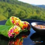 Rainbow Roll-up with peanut sauce and mountain view