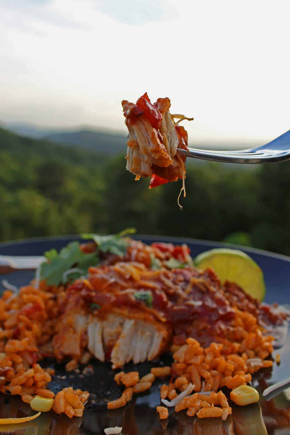 polo a la diabla on a plate with fork