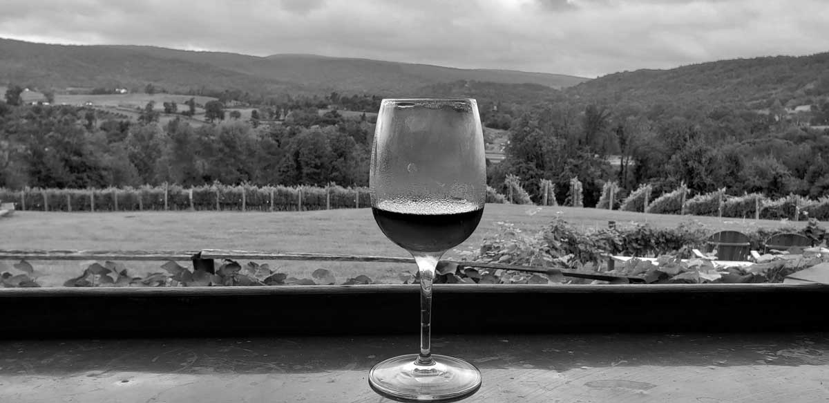 As 2018 draws to a close, I wanted to take a moment to reflect on the year, before welcoming all of the exciting things 2019 may have in store.