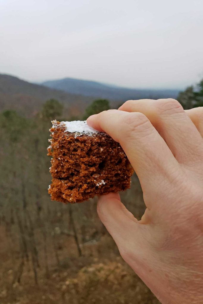 a slice of gingerbread cake with mountain view