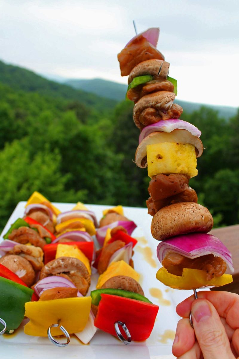 grilled teriyaki chicken kabobs and mountain view