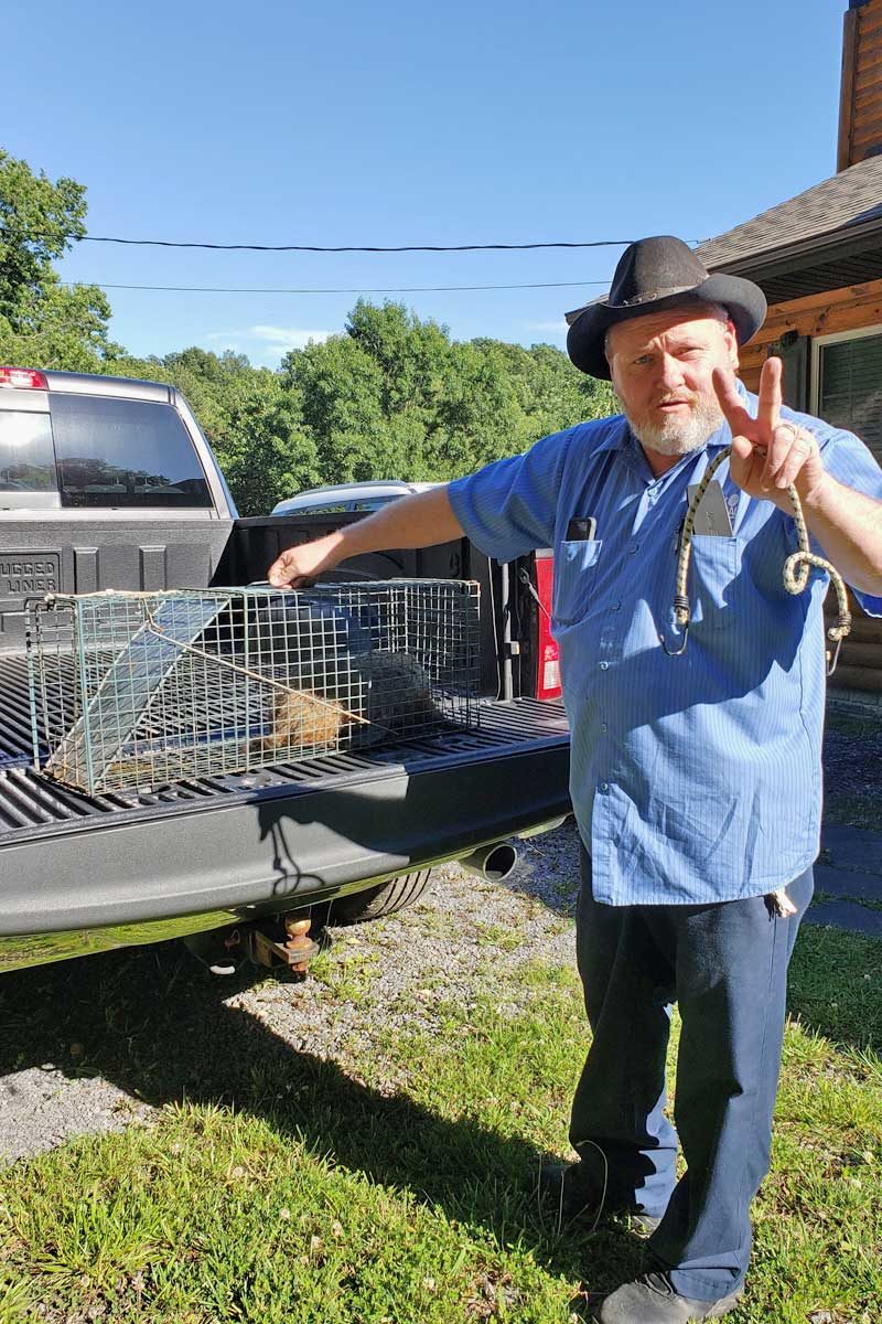 David counting groundhogs