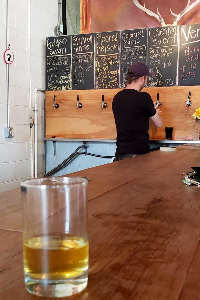 Pen Druid bar