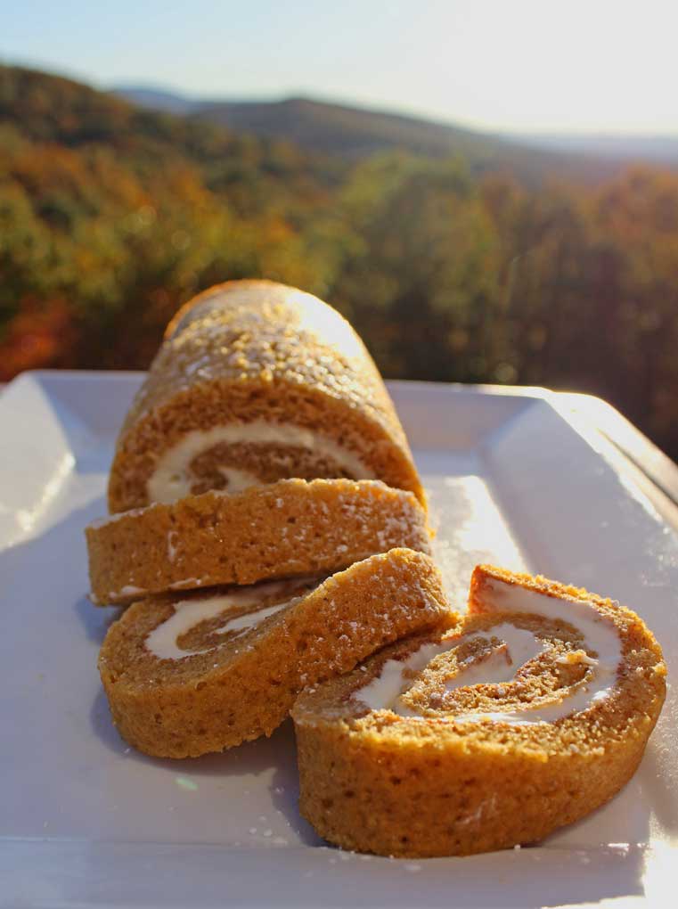 pumpkin roll with mountain view