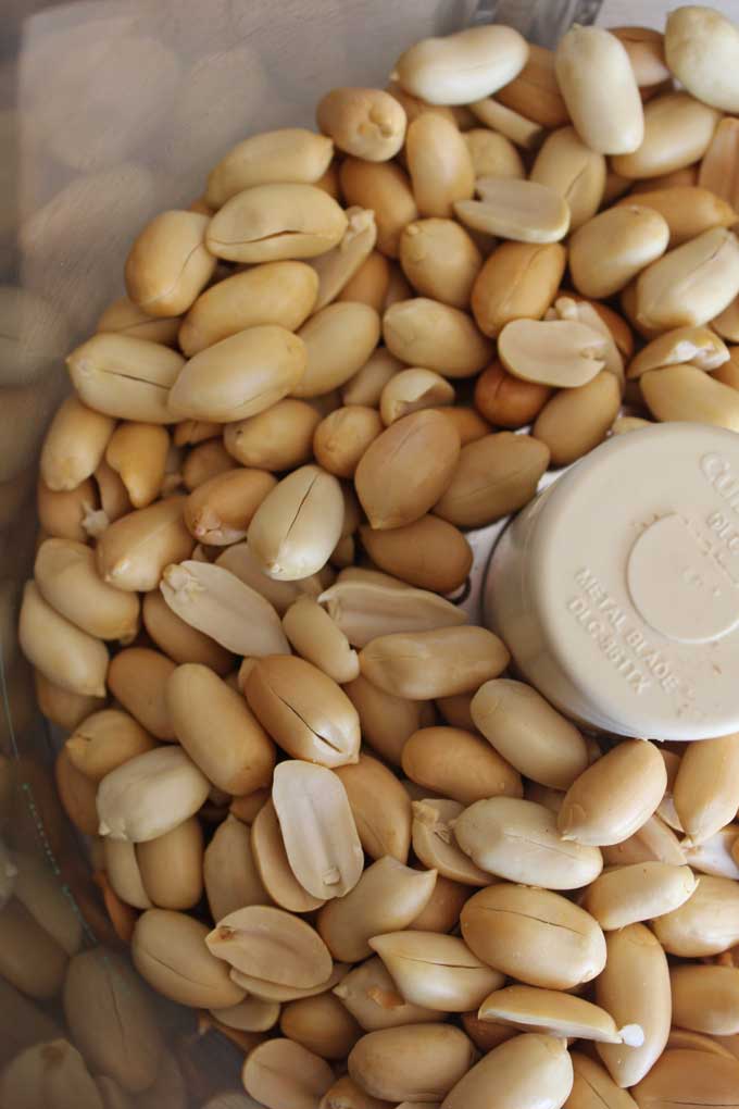 shelled and skinned oven-roasted peanuts inside food processor