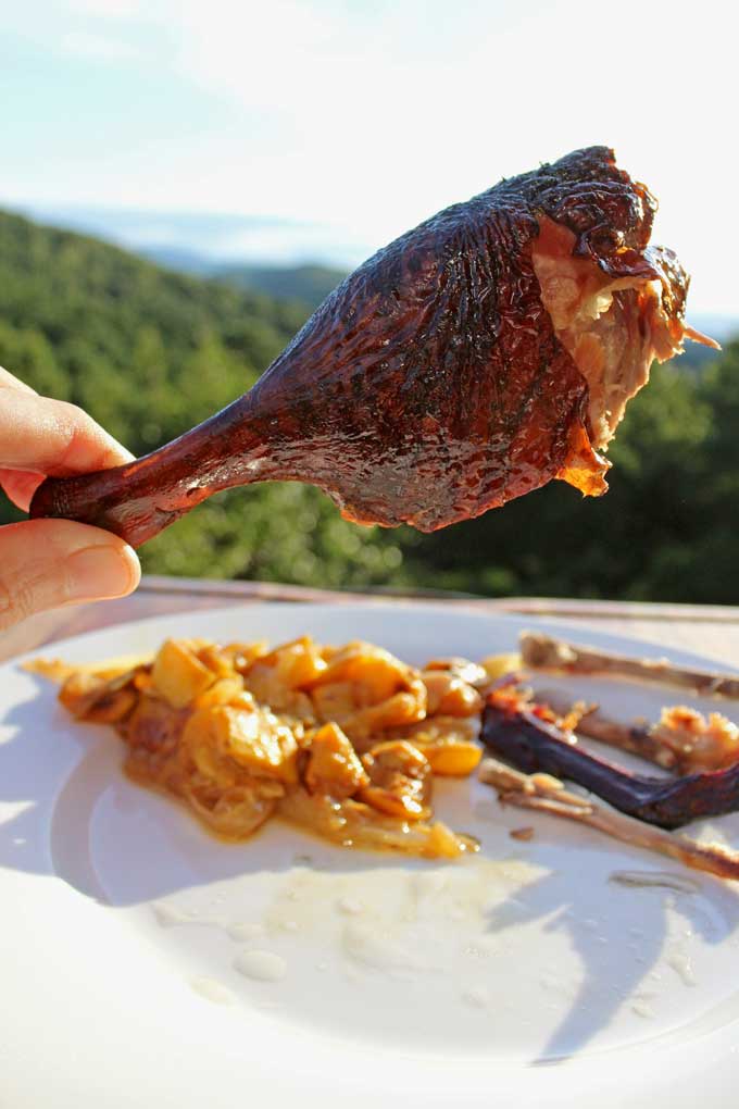 duck leg with mountain view