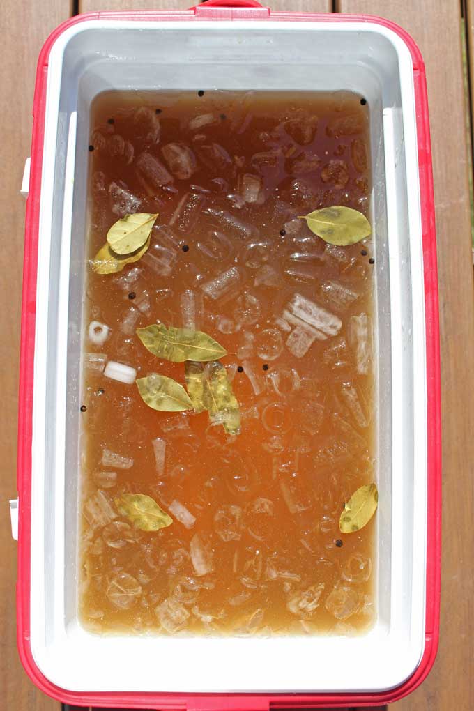 orange-beer brine