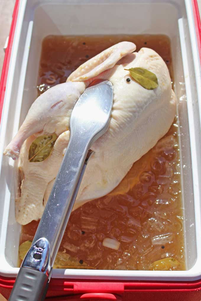 Adding the duck to the brine