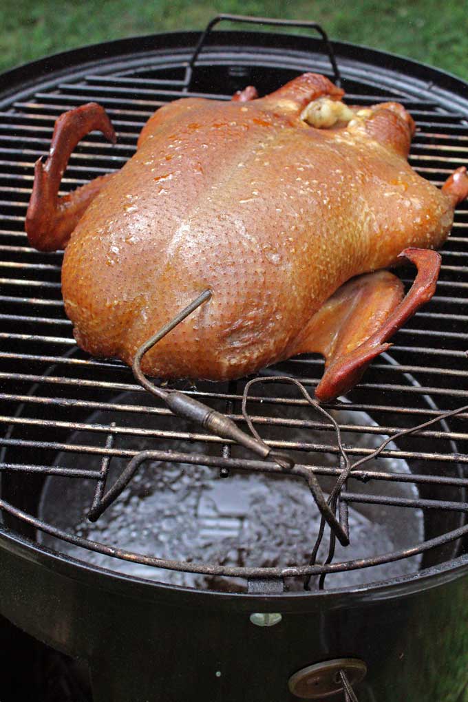 smoking duck over water bath