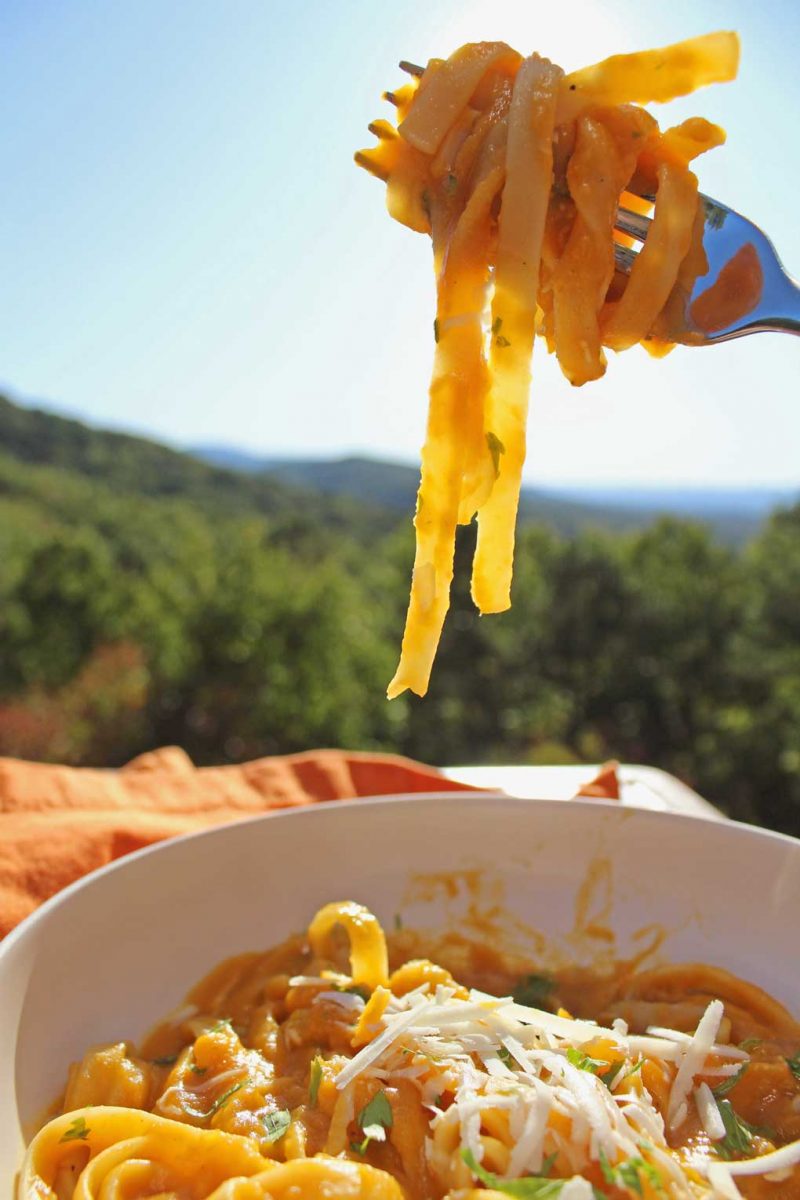 twirled pasta on fork with mountain view