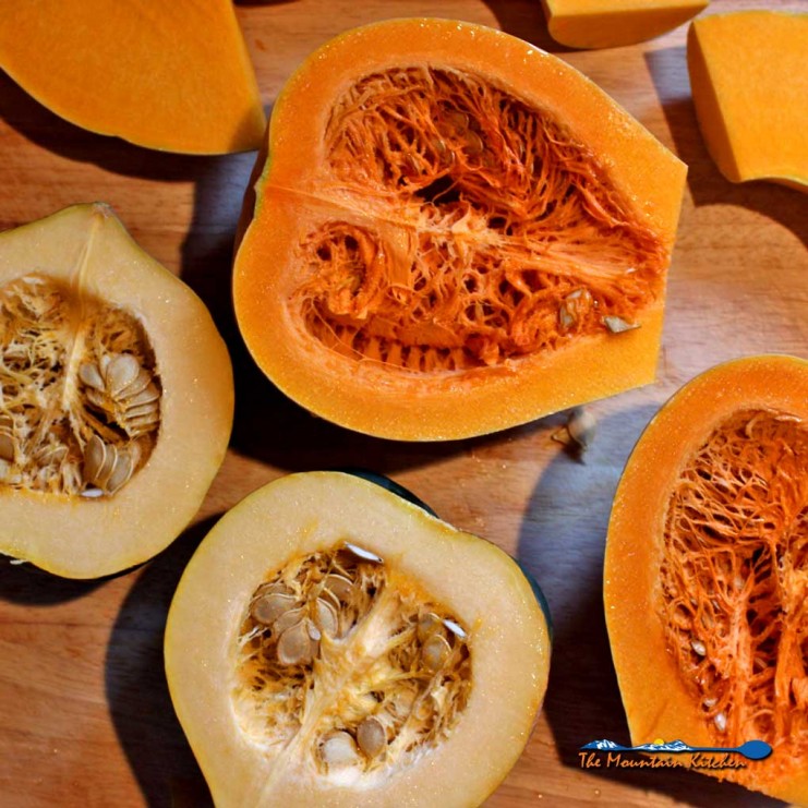 butternut squash