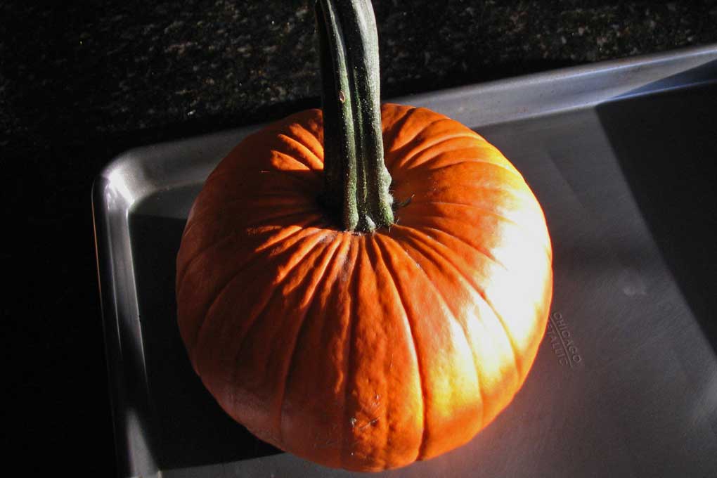 whole sugar pumpkin