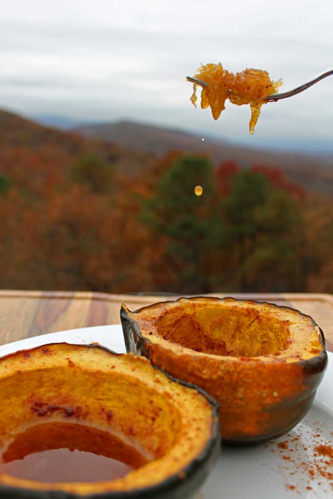 fork with bite of dripping acorn squash dripping