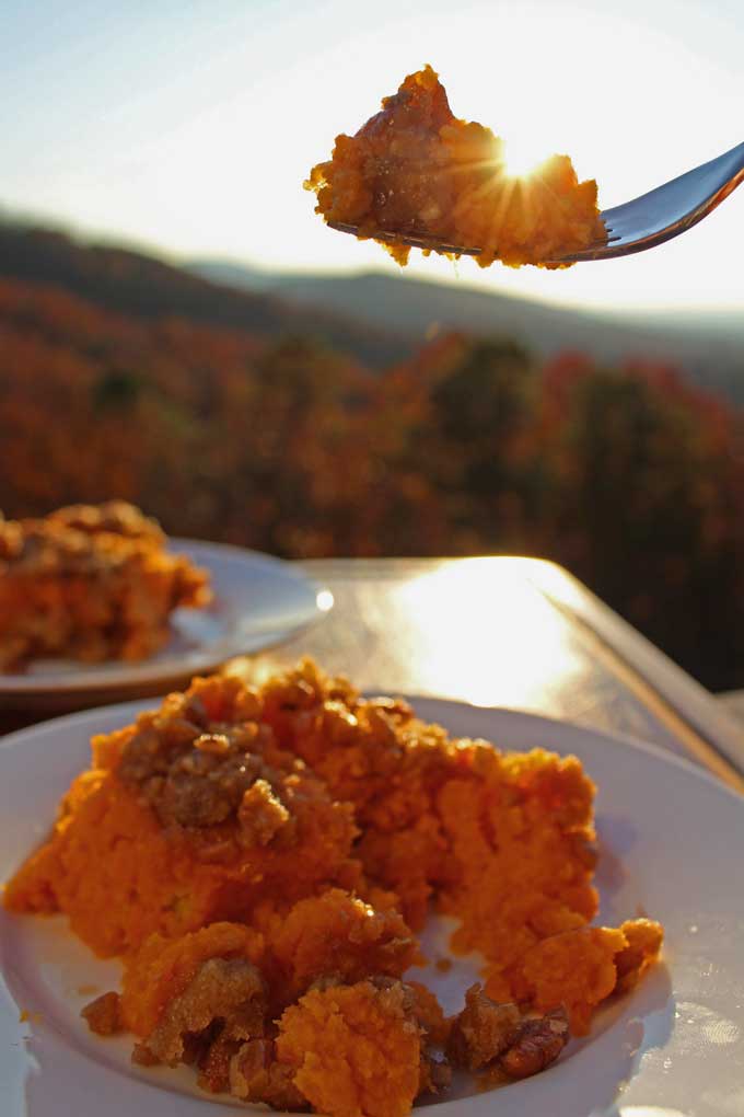 casserole bite on a fork with sunlight shining through