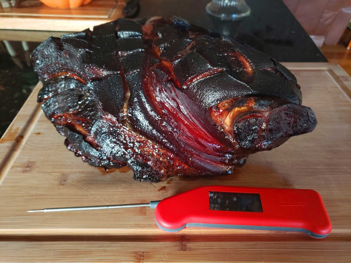 Thermapen with meat