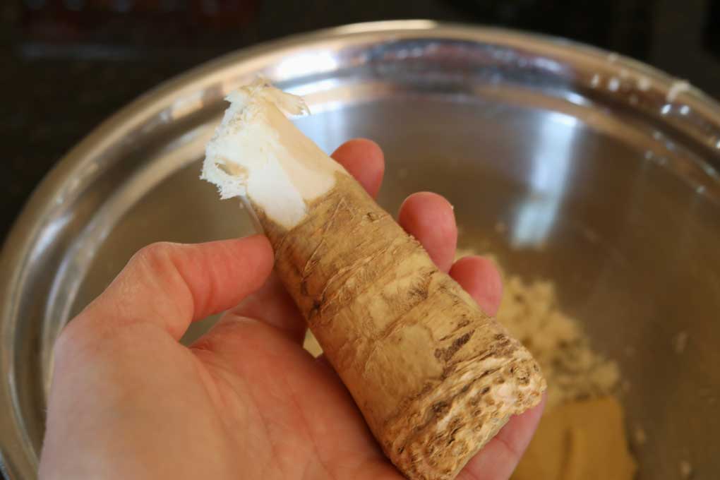 horseradish root