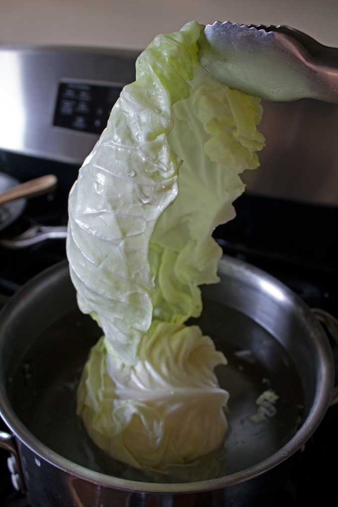 pulling cabbage leaf out of pot
